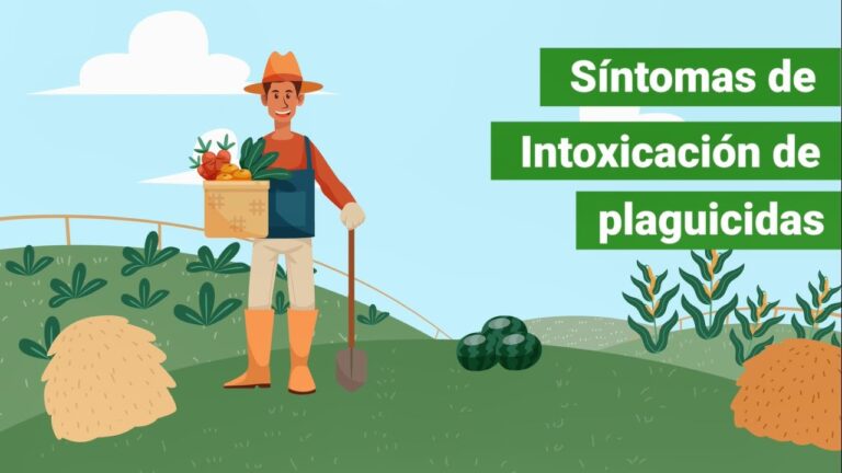 Todo lo que necesitas saber: ¿cuánto tiempo dura el efecto del
